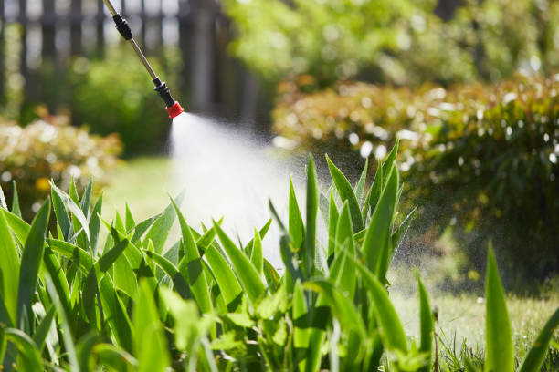 24/7 Emergency Wasp Removal experts in Jasonville, IN